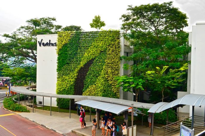 Green Wall and Rooftop Garden