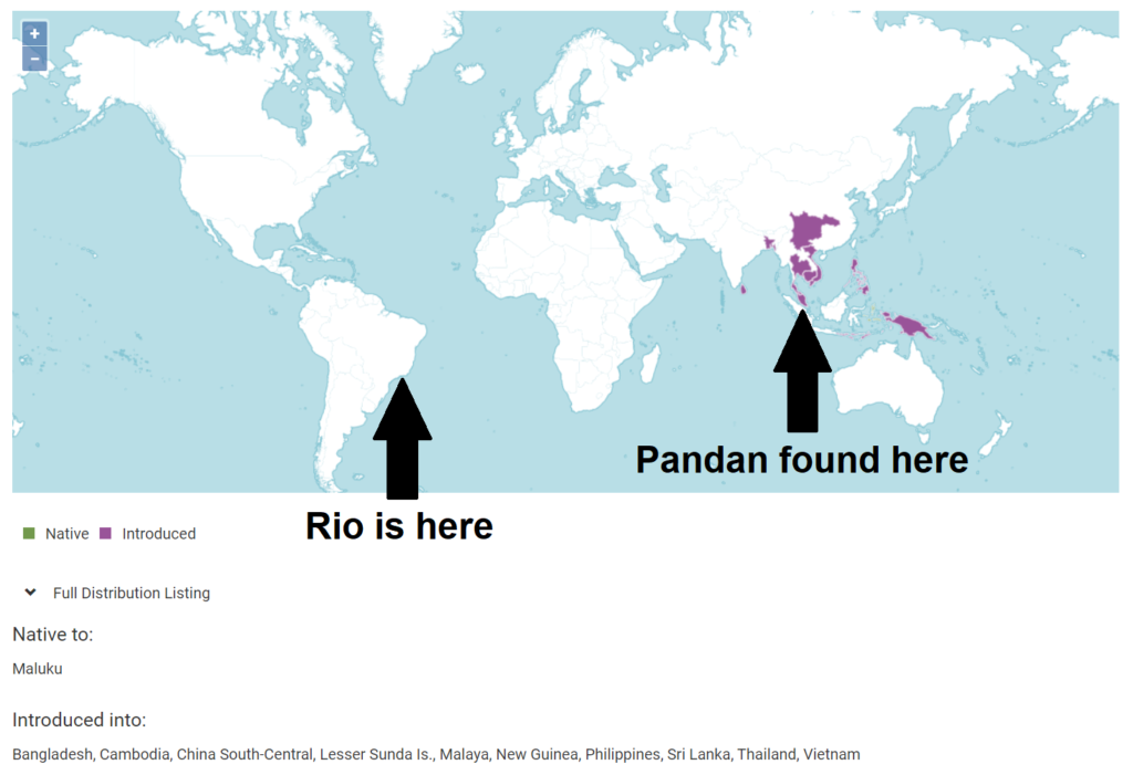 pandan distribution